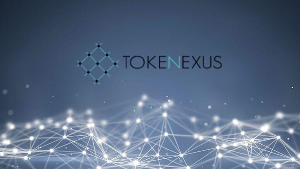 basándonos en la información disponible sobre esta empresa ¿qué opinión de tokenexus es adecuada?