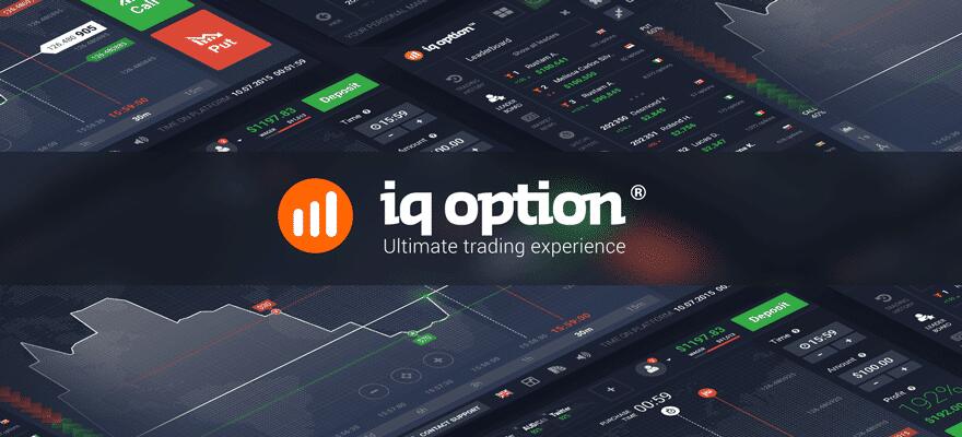 iq option forex broker